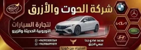 شركة الحوت و الأزرق ( سوريا )